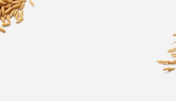 Rice background mobile